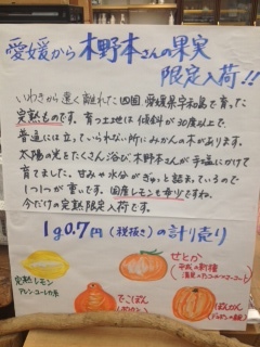kinomotoseika1.JPG
