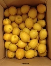 lemon.JPG